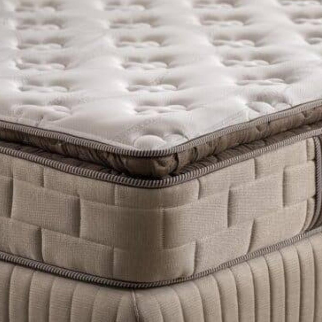 WhatsApp Image 2024-10-11 at 09.50.53 (1)