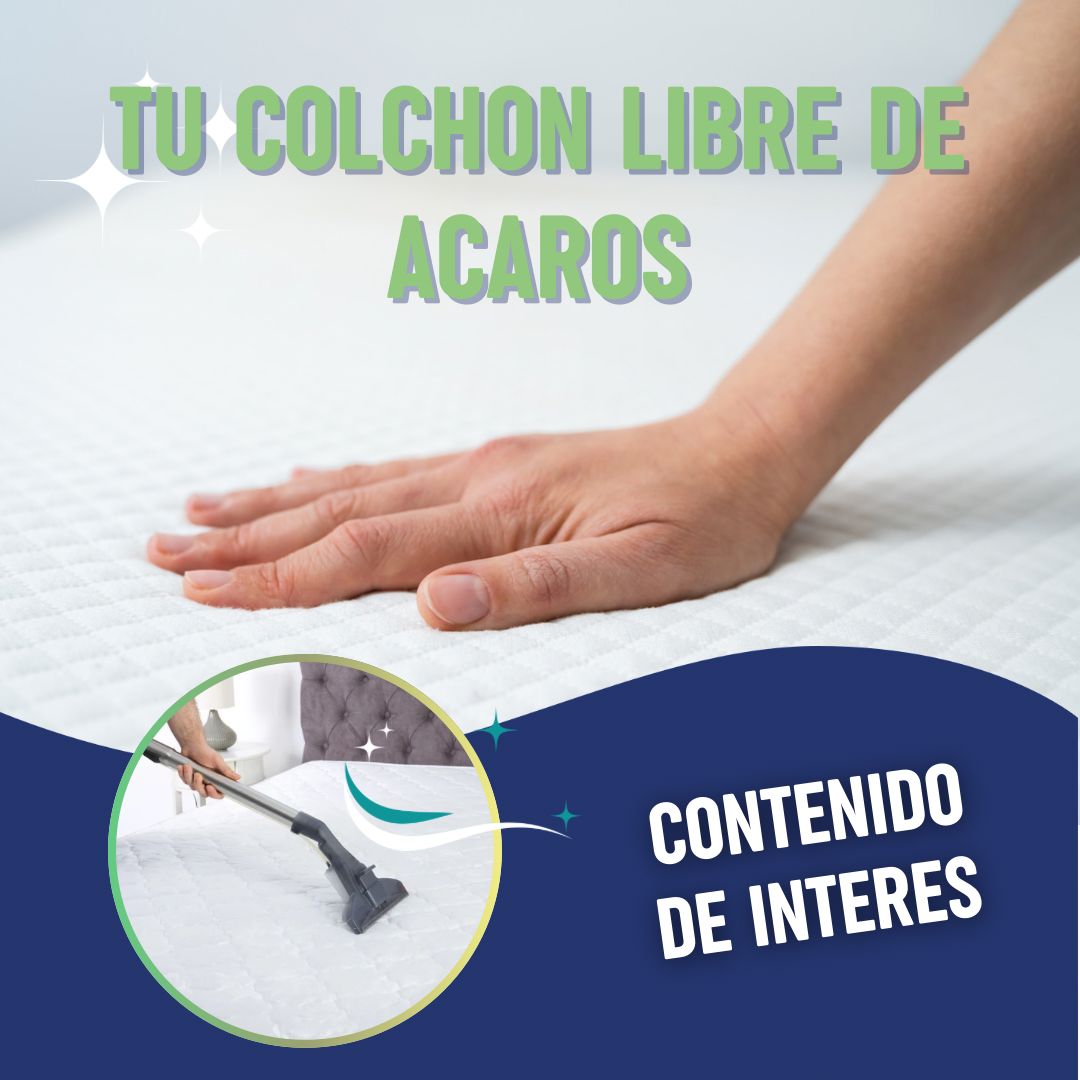 WhatsApp Image 2024-10-11 at 14.50.09